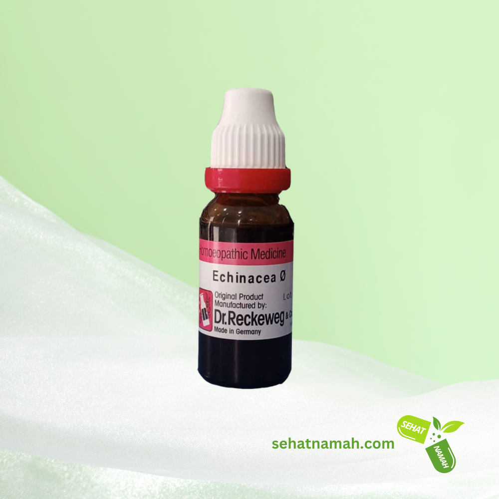 Echinacea Q - Dr. Reckeweg
